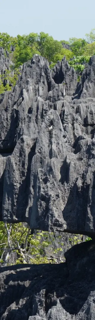 Tsingys – eine verwitterte Felslandschaft